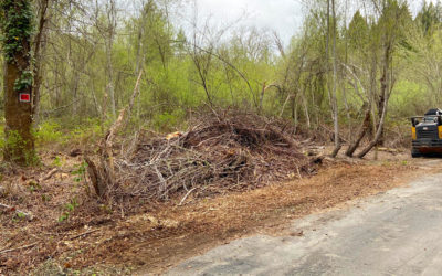 Who Benefits from Forestry Mulching and what is it?