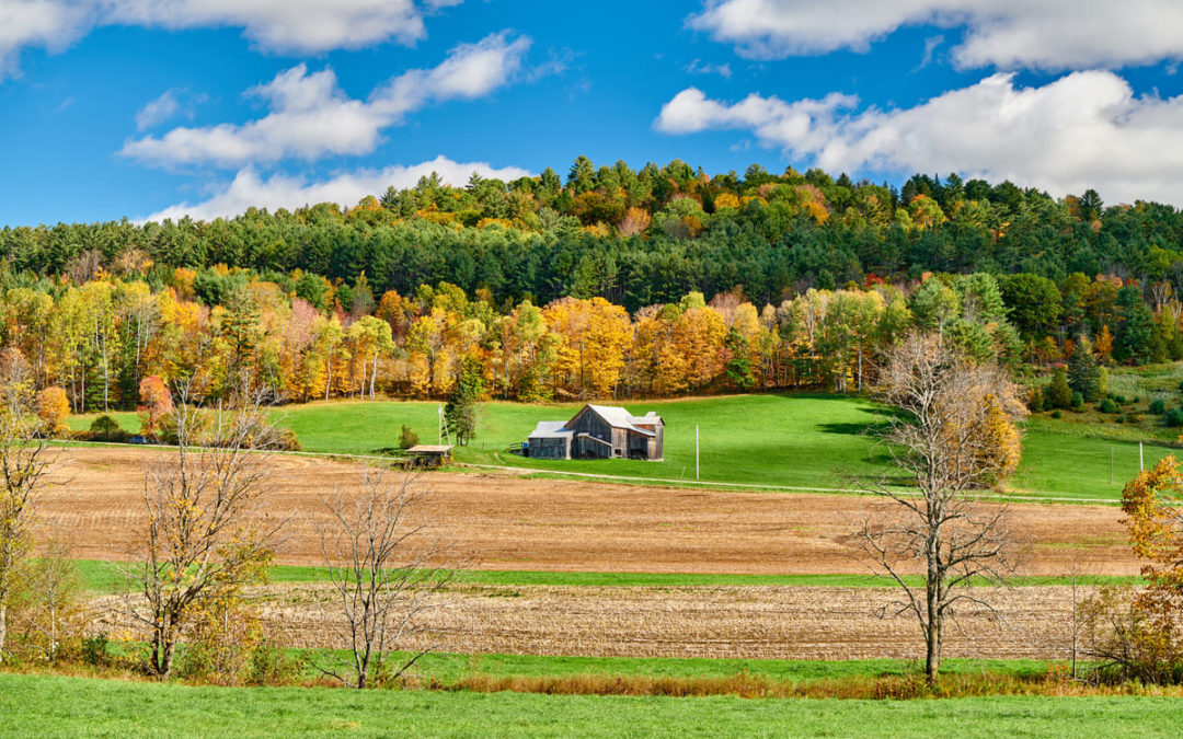 house on hill