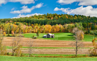 Do you know the zones of defensible space?